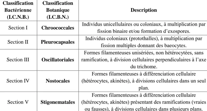 Tableau 1 : Correspondance des deux systèmes de classification des cyanobactéries, I.C.B.N