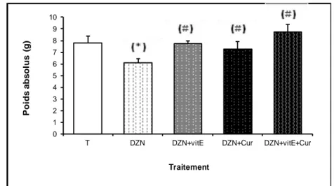 Fig. 22 : Variation du poids absolu du foie en (g) chez les rats témoins et les rats traités  après 03 semaines de traitement
