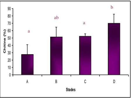 Figure 12 : Taux (%) de la chitine dans la cuticule à différents stades du cycle de mue chez   