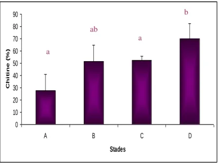 Figure 12 : Taux (%) de la chitine dans la cuticule à différents stades du cycle de mue chez   
