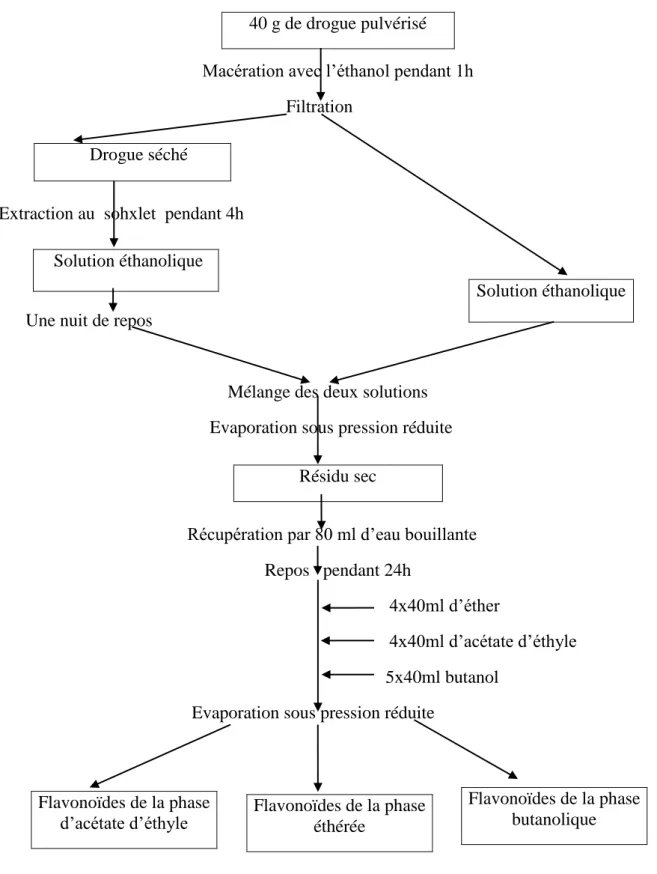 Figure 20 :  Présentation schématique de la méthode d’extraction des flavonoïdes  (Paris,