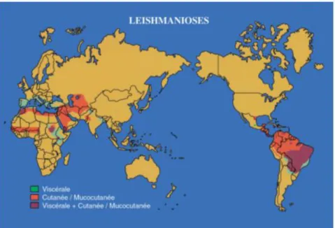 Figure 24 : Distribution des différentes formes de leishmanioses à travers le monde. (Handman., 2001).