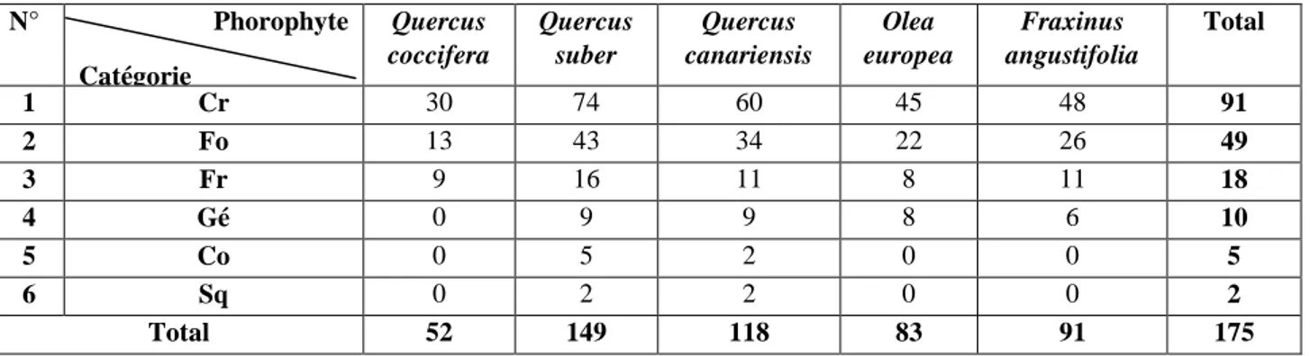 Tableau XI- Richesse totale de la flore lichénique recensée par phorophytes   quantifiée par catégorie 