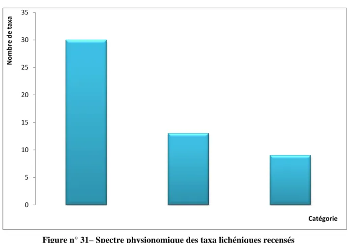 Figure n° 31– Spectre physionomique des taxa lichéniques recensés   sur Quercus coccifera 