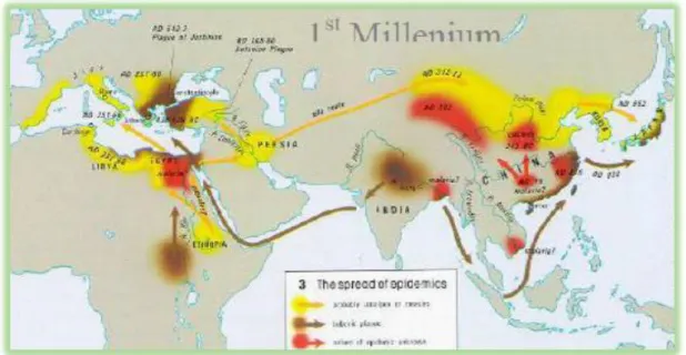 Figure 05: Les routes des épidémies au cours du 1er millénaire  (Source OMS) 