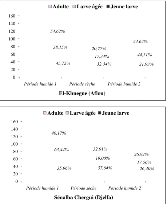 Figure 15. Répartition des blattes par stade de développement dans les deux sites d’étude 3.1.1