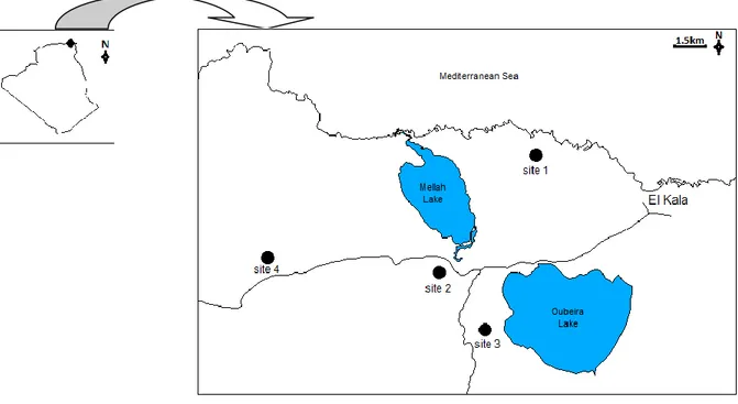 Figure 2. Localisation des sites d’étude. 