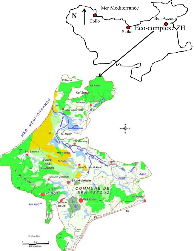 Figure 10. Localisation  géographique  du  complexe  de  zones  humide de Guerbes-Sanhadja  (Boumezbeur, 2002).