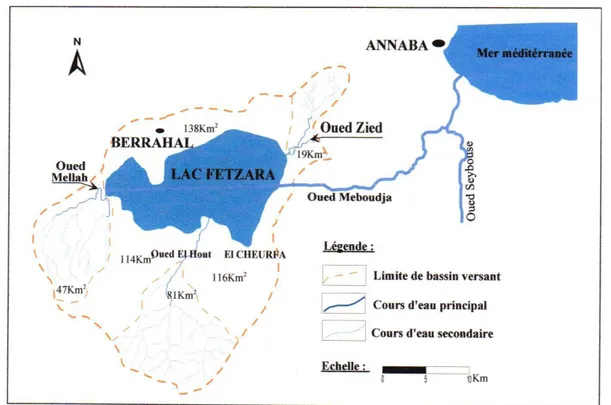 Figure 16. Les principaux sous bassins versant du lac Fetzara (in Zenati, 1999) 