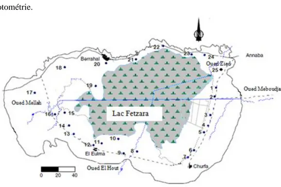 Figure 22. Localisation des points d’eau dans le bassin versant du lac Fetzara 
