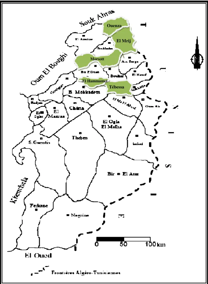 Figure 2: Localisation des stations d’études dans la région de Tébessa (Service de Cadastre,  Tébessa)