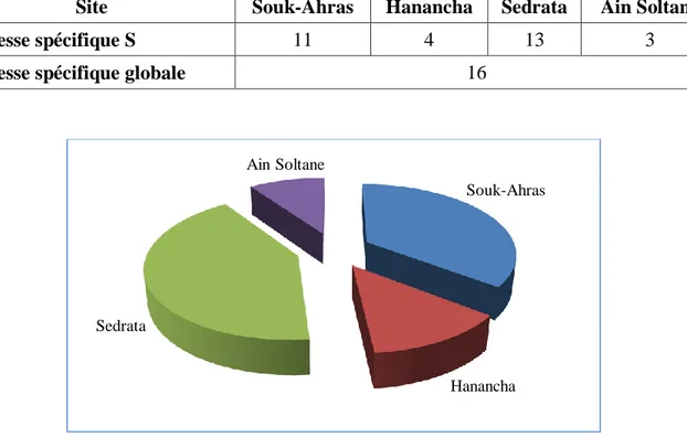 Tableau  11 :  Distribution  de  la  richesse  spécifique  dans  les  sites  d’étude  (Souk-Ahras, 