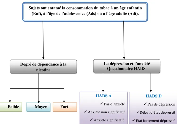 Figure 1:Protocol expérimental. 