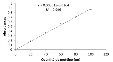 Figure 7. Dosage des protéines: droite de régression exprimant l'absorbance à 595 nm 