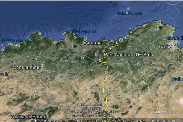 Figure 10: Localisation géographique du Parc National d’El Kala                                                          