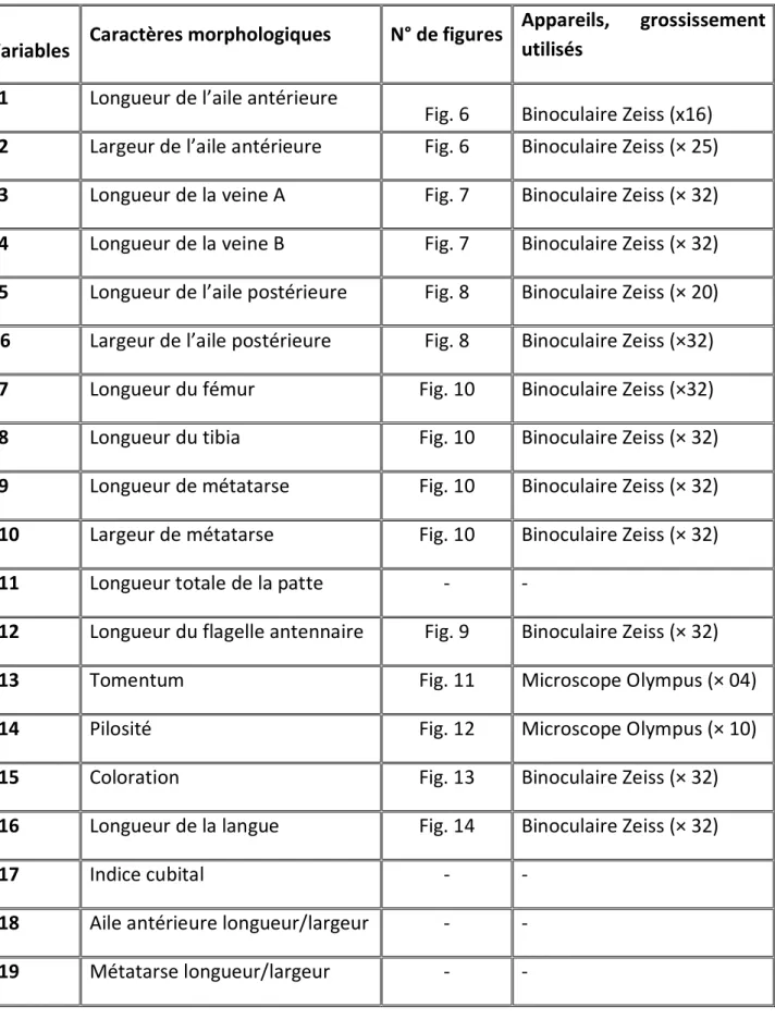 Tableau 2  : Liste des caractères morphologiques mesurés,                                                 appareils et grossissement utilisés (zone Sud) 