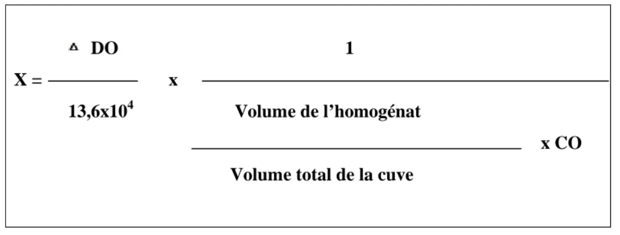 Tableau 6 : La gamme d’étalonnage des protéines. 