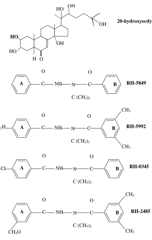 Figure 4 : Formules de structure de l’hormone de mue et de quelques  agonistes des  ecdystéroïdes  