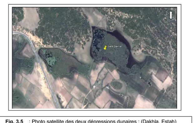 Fig. 3.5    : Photo satellite des deux dépressions dunaires : (Dakhla, Estah) 