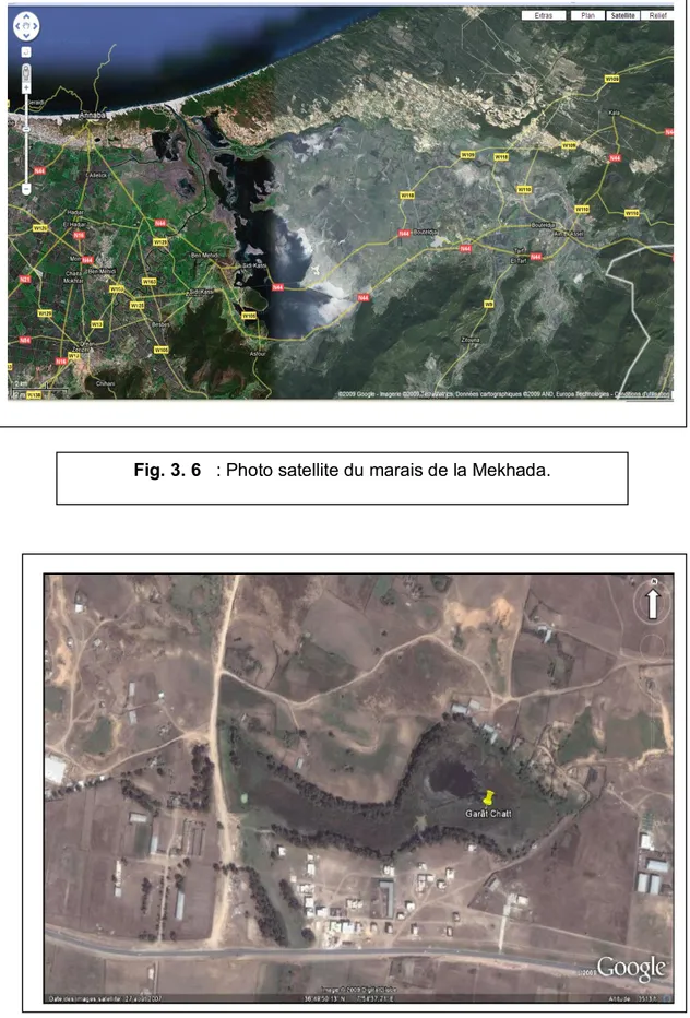 Fig. 3. 6   : Photo satellite du marais de la Mekhada. 