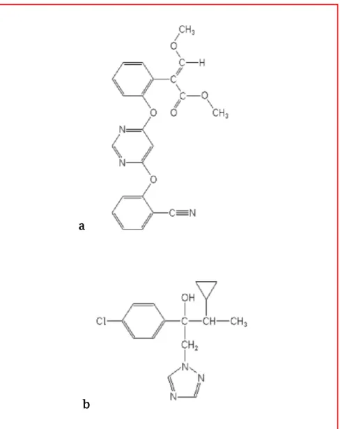 Figure 10 : Structures chimiques des deux matières actives d’Amistar Xtra  a : Azoxystrobine b : Cyproconazole 