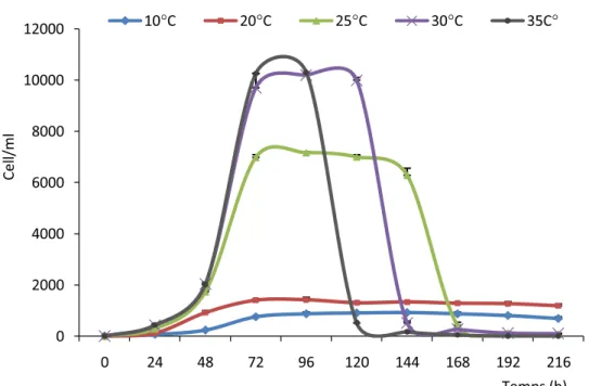 Figure 24: Effets de la température sur la croissance de Paramecium tetraurelia  