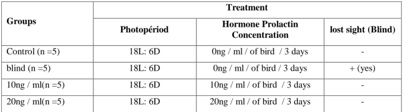 Table 1: Planned Distribution of the Groups  Groups 