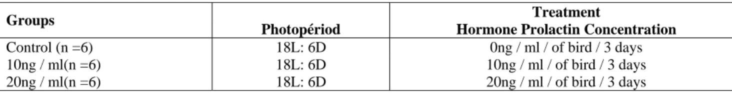 Table 1:  Planned Distribution of the Groups 