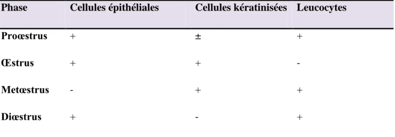 Tableau 1 : Identification des phases du cycle œstrien. (Thierry, 2007).