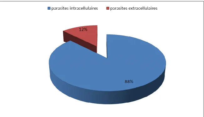 Figure 01 : Pourcentage  d'hémoparasites selon leur localisation 