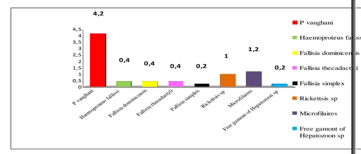 Figure 07 :   Intensité des différentes espèces d’hémoparasites de Lacerta pater de la 