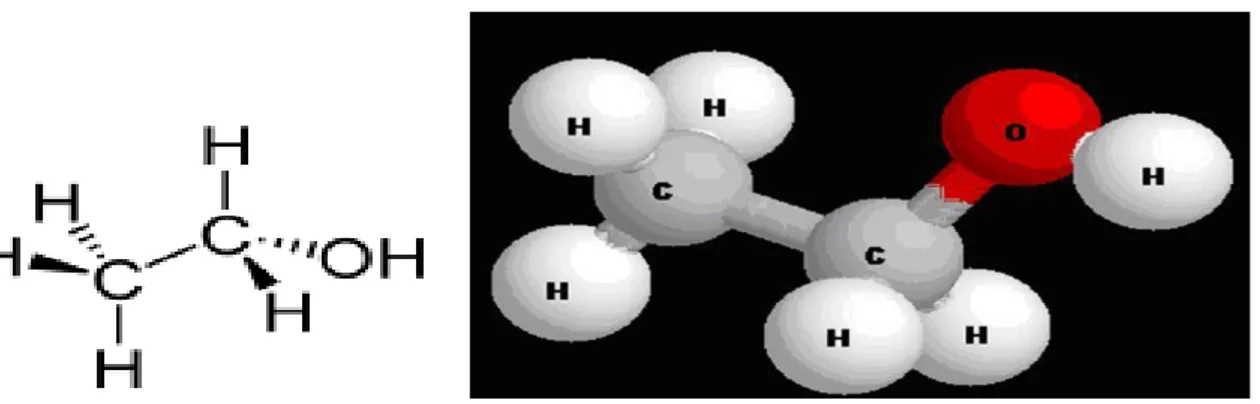 Figure 1 :  la molécule d’éthanol. 