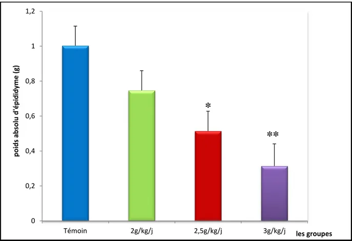 Figure 8 : Le poids absolu d ’épididyme des lapins de différents lots. Groupe témoin (non  traité) et groupes traités avec  l’éthanol aux doses suivantes : 2 g/kg/j, 2,5 g/kg/j et 3 g/kg/j  (n=7)