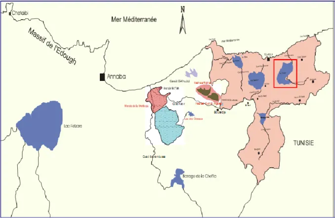 Figure 02. Localisation du Lac Tonga dans le Complexe de zones humides d'El Kala  (LANDSCAPE AMENAGEMENT Co., 1998) 