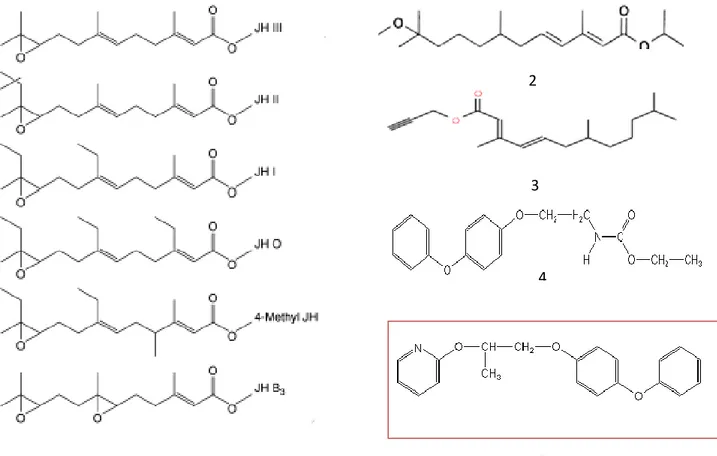 Figure  3.  Structure  chimique  de  la  20E  (1),  RH-5849  (2),    RH-5992  (tebufénozide)  (3), RH-2485 (méthoxyfénozides) (4), RH-0345 (hahofénozide) (5) (d’après Dhadialla 