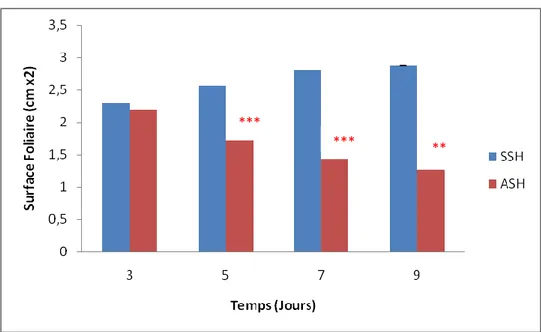 Figure 14. Effet du stress hydrique sur l’évaluation de la surface foliaire.  SSH : Sans Stress Hydrique ; ASH : Avec Stress Hydrique