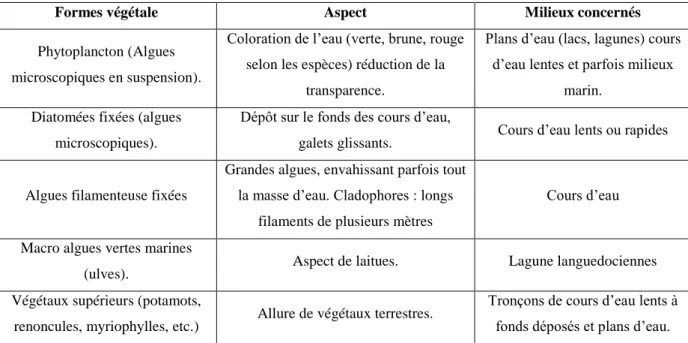 Tableau : Les différents formes végétales et milieux concernés de l’eutrophisation 