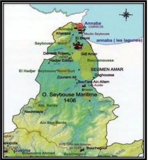 Figure 1.5 : Carte montrant la partie inferieure de l’Oued Seybouse (ABH, 2002).  Région  d’étude 