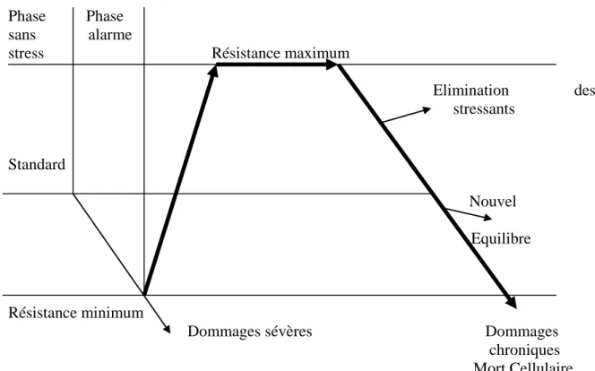 Figure 1.   Différentes phases induites chez une plante suite à une exposition à un 