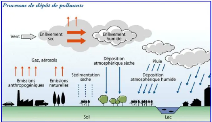 Figure 01 : Processus de dépôt des polluants D’après Maystre et al.,  (1988) 