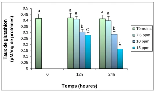 Figure 22. Effet du cadmium sur le taux  de glutathion  (µM/mg de protéines) au niveau du 