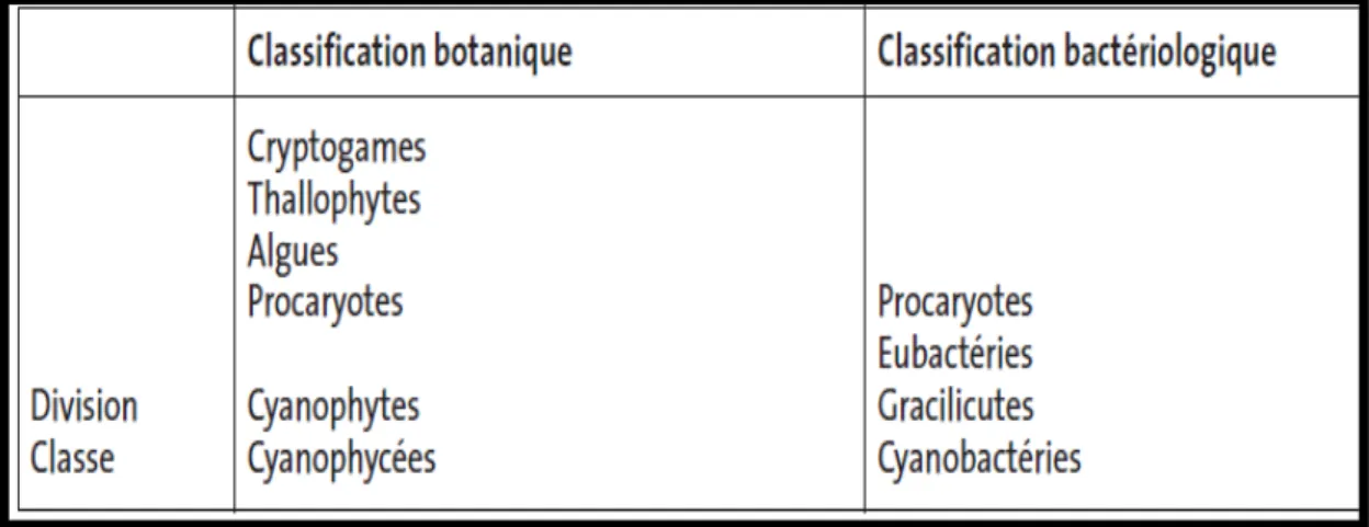 Tableau 1 : Correspondance entre la classification botanique et la classification  bactériologique des cyanobactéries