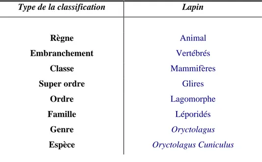 Tableau 2 : Classification de l animal 