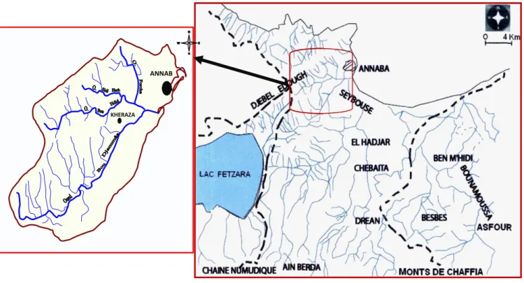 Figure N° 4 : Réseau  hydrographique et les sous bassin versant de la plaine de Annaba  (in SABOUA, 2010) 