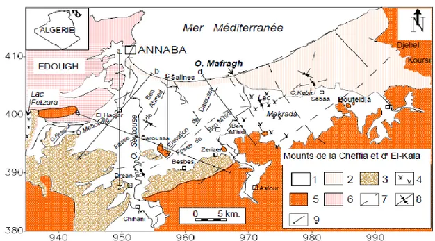 Figure N° 14 :  La carte  géologique  des  plaines  de  la  région  de  Annaba  (in HANI, 2003) 
