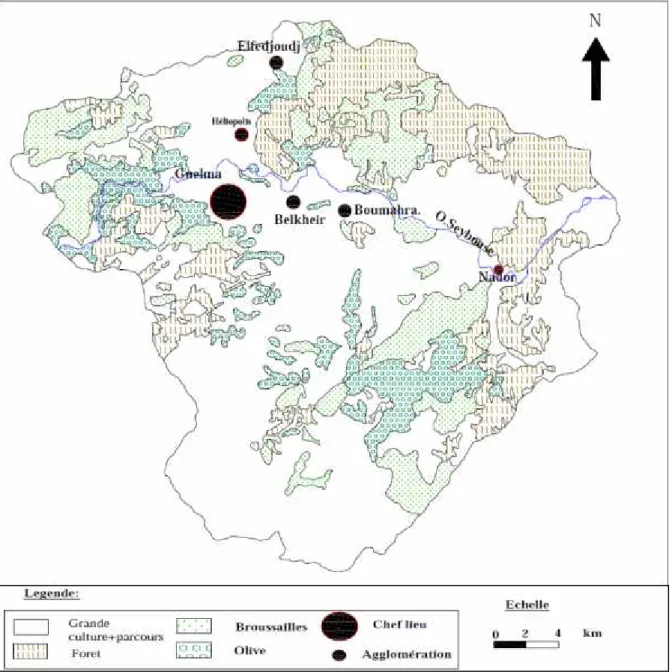 Figure 10 : Carte d’occupation du sol dans la wilaya de Guelma (Brahmia, 2009).
