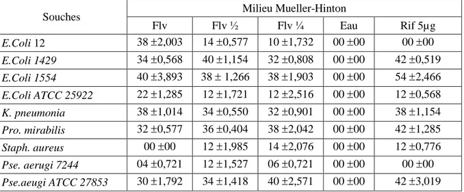 Tableau n ° 9:  Activité  antibactérienne  de  l’extrait  flavonoidique  sur  milieu  Mueller-Hinton  (mm)