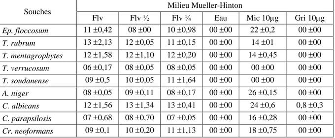 Tableau n ° 11:  Activité  antifongique  de  l’extrait  flavonoidique  sur  milieu  Mueller-Hinton  (mm)