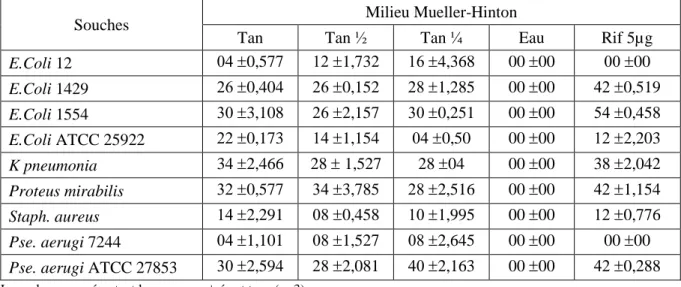 Tableau n ° 13: Activité antibactérienne de l’extrait tannique sur milieu Mueller-Hinton (mm)