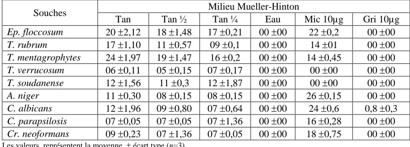 Tableau n ° 15: Activité antifongique de l’extrait tannique sur milieu Mueller-Hinton (mm)